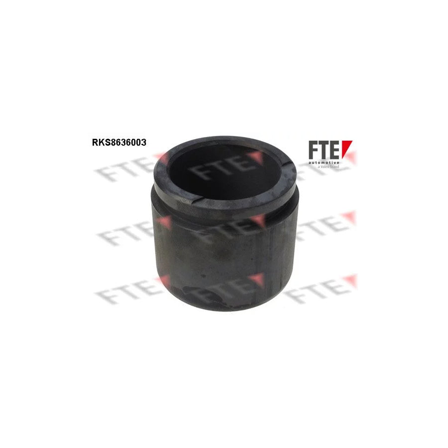 FTE Rks8636003 Piston, Brake Caliper