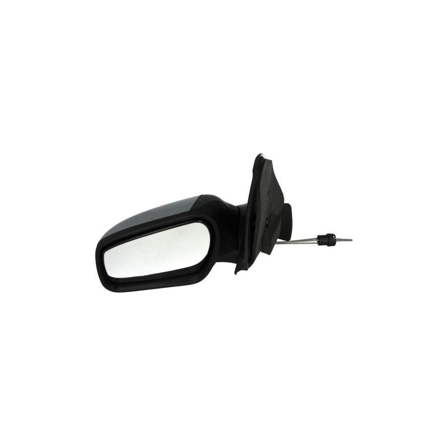 Blic 5402-04-1191392P Wing Mirror for Ford Fiesta