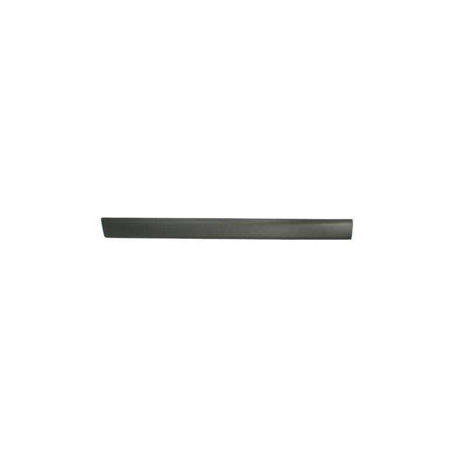 Blic 5703-04-2576571Pp Door Molding for Ford Fusion Estate (Ju2)