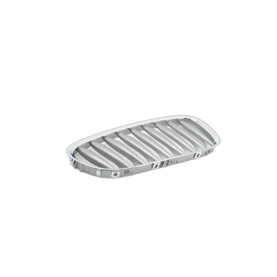 Genuine BMW 51117117758 E85 E86 Grille Right GRAPHIT (Inc. Z4)