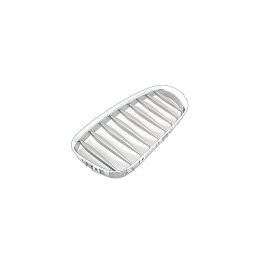 Genuine BMW 51117117757 E85 E86 Grille Left GRAPHIT (Inc. Z4)