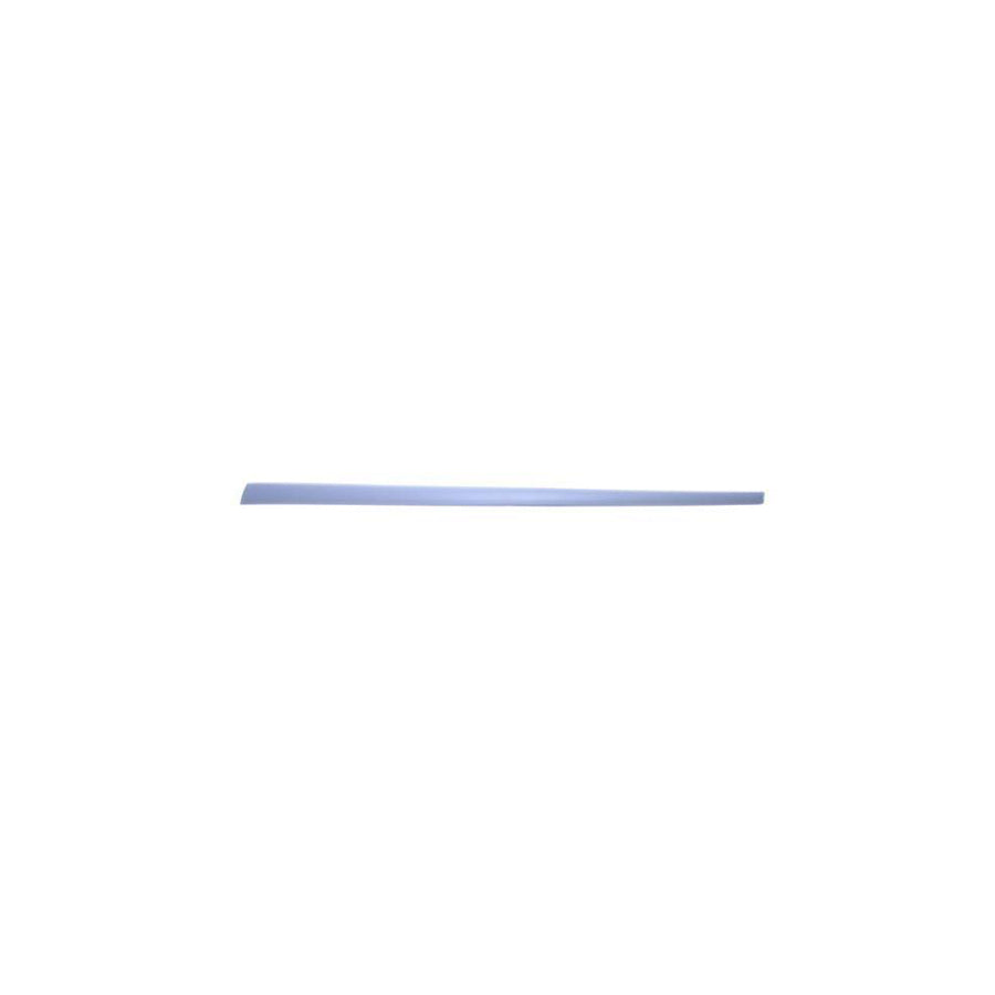 Blic 5703-04-2564576Pp Door Molding for Ford Fiesta