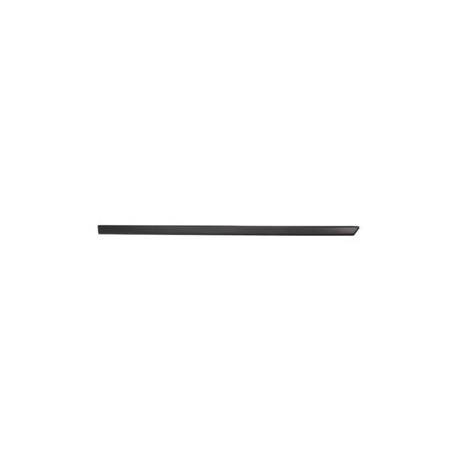Blic 5703-04-2564576P Door Molding for Ford Fiesta Mk5 Hatchback (Jh1, Jd1, Jh3, Jd3)