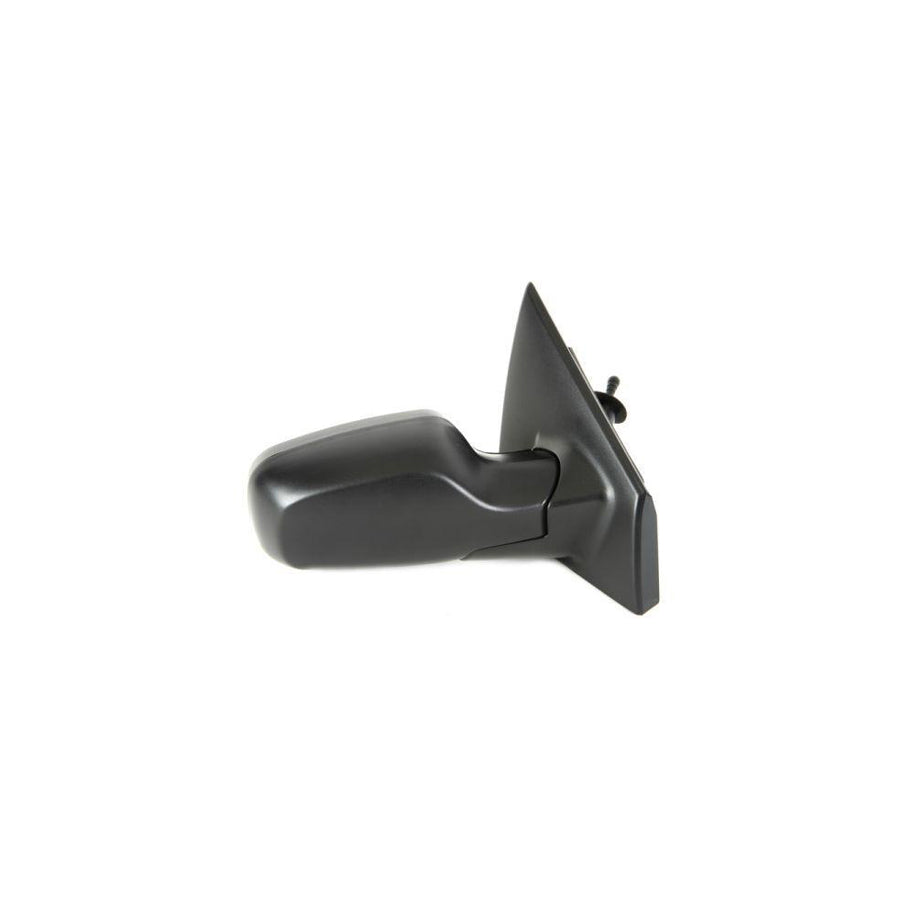 Blic 5402-04-1192175P Wing Mirror for Renault Clio