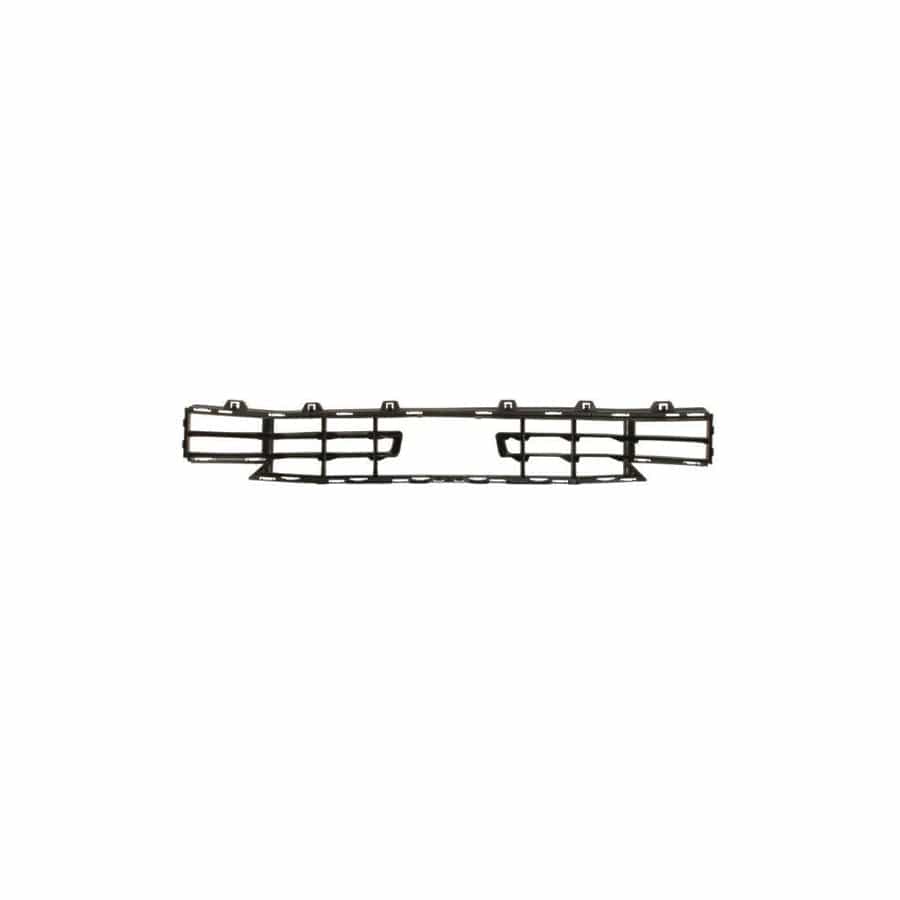 Blic 6502-07-0073910P Bumper Grill for BMW 1 Hatchback (F40)