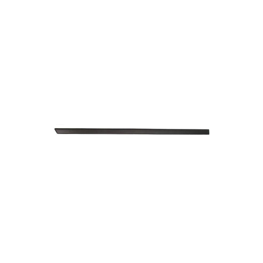 Blic 5703-04-2564575P Door Molding for Ford Fiesta Mk5 Hatchback (Jh1, Jd1, Jh3, Jd3)