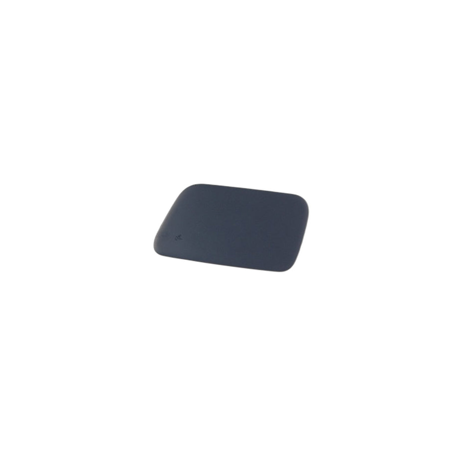 Genuine BMW 51117111741 E61 E60 Flap Prime Coatedleft (Inc. 535i, 525xi & 530xd)
