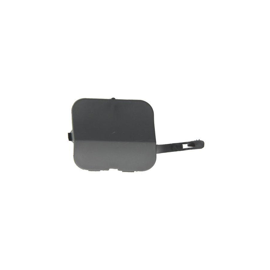 Blic 5513-00-1301921P Flap, Tow Hook