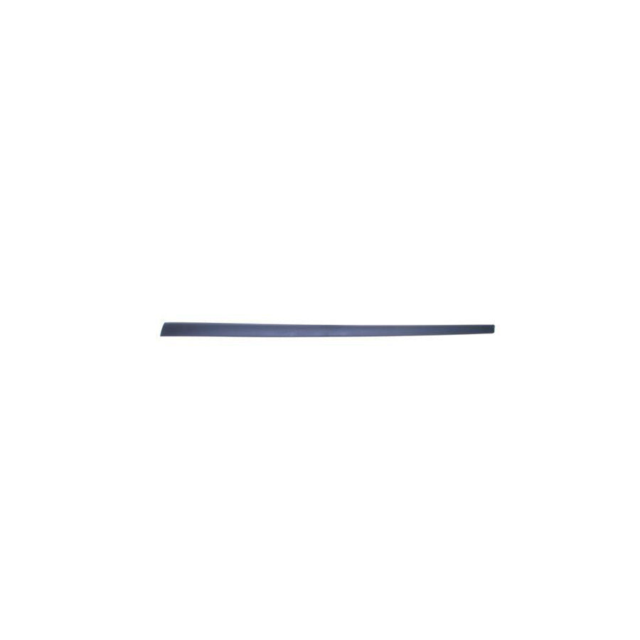 Blic 5703-04-2564572Pp Door Molding for Ford Fiesta