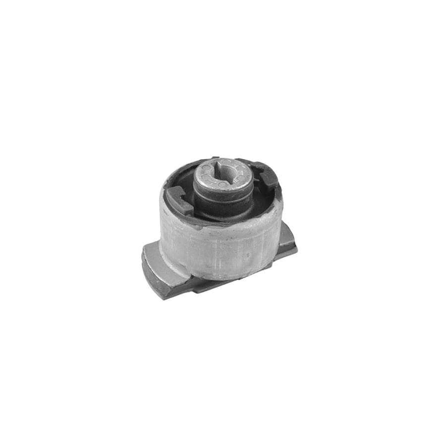 Tedgum Ted44710 Axle Bush For Renault Laguna