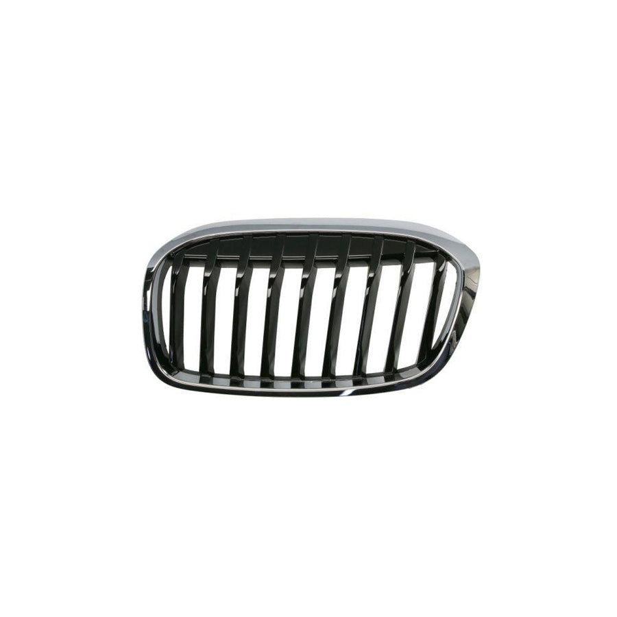 Blic 6502-07-0071991P Radiator Grille for BMW 2 Series