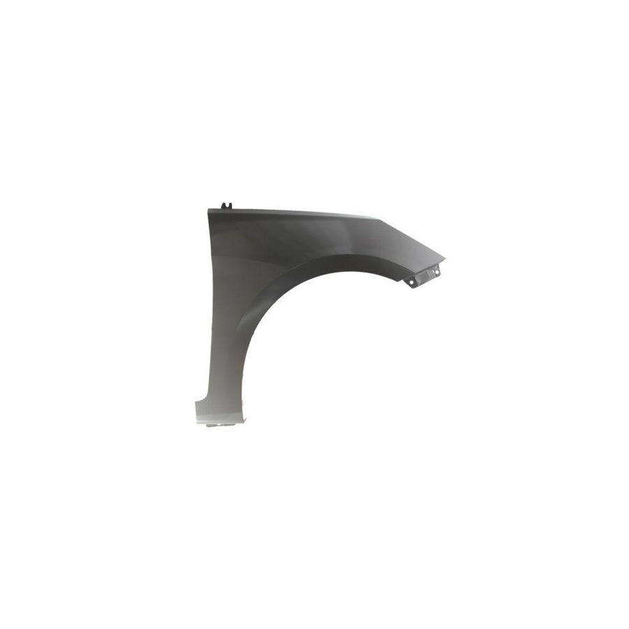 Blic 6504-04-3150314P Wing Fender for Hyundai Accent IV Saloon (Rb)