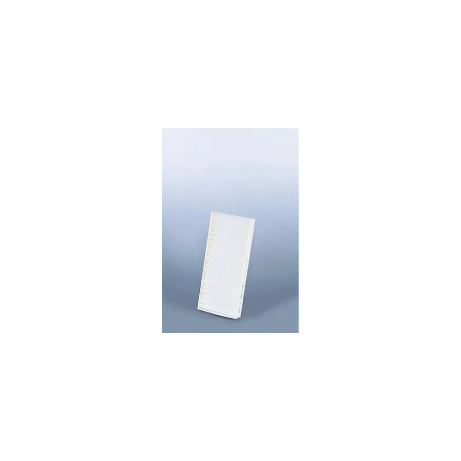 Fleetguard Af26231 Pollen Filter