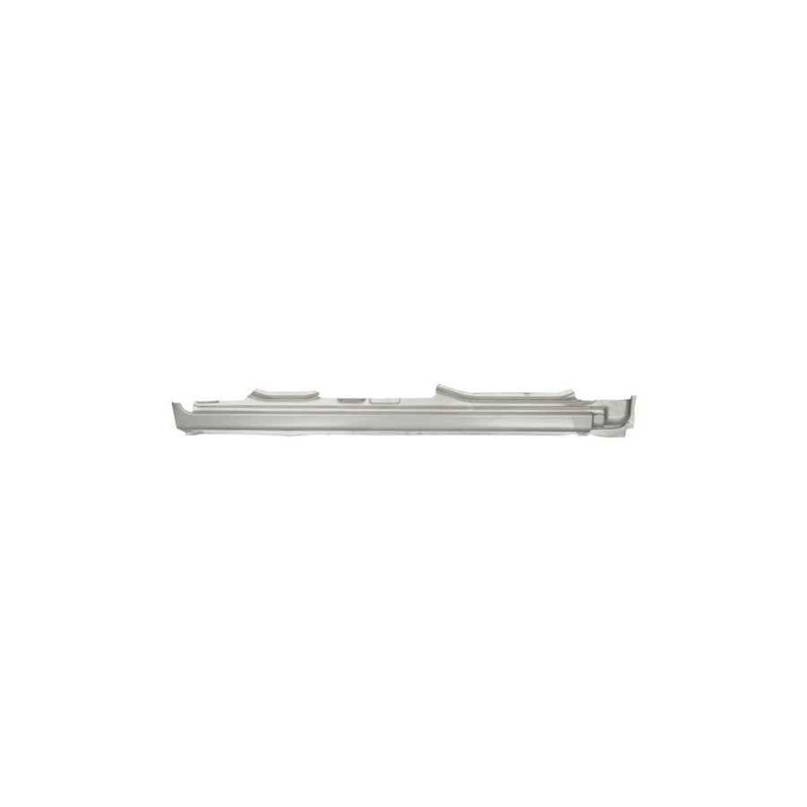 Blic 6601-01-5536832P Repair Panel For Peugeot 406