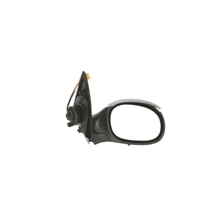 Blic 5402-04-1121295P Wing Mirror for Peugeot 206