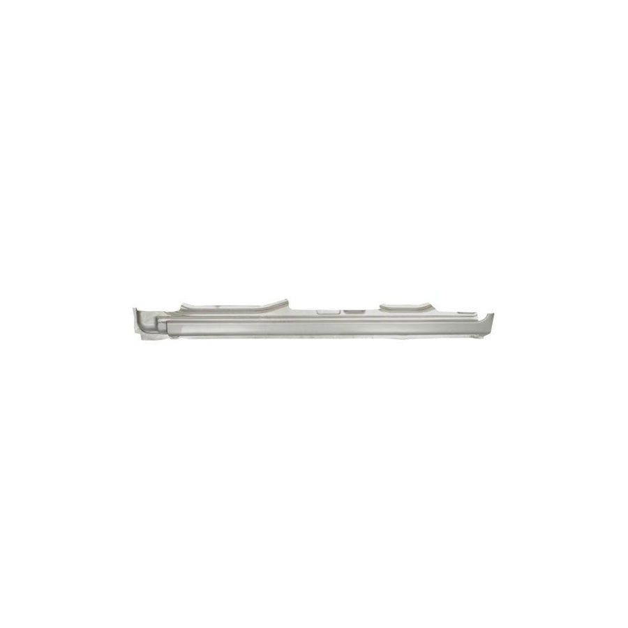Blic 6601-01-5536831P Repair Panel For Peugeot 406