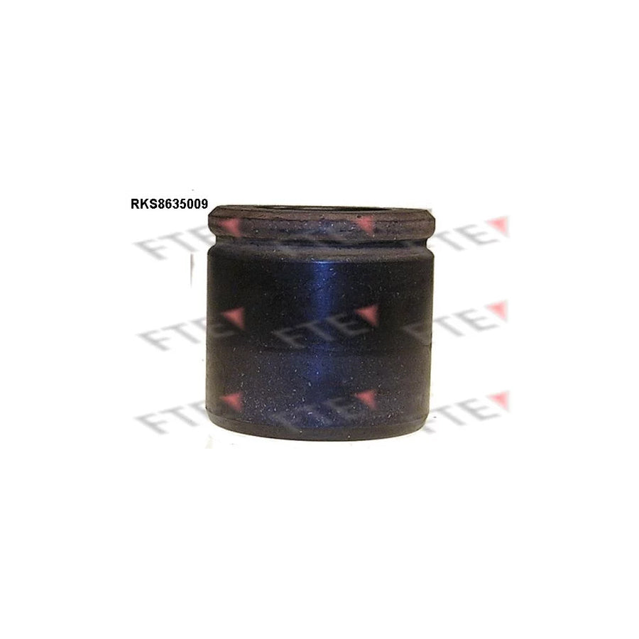 FTE Rks8635009 Piston, Brake Caliper for KIA Sportage I (K00, Ja)