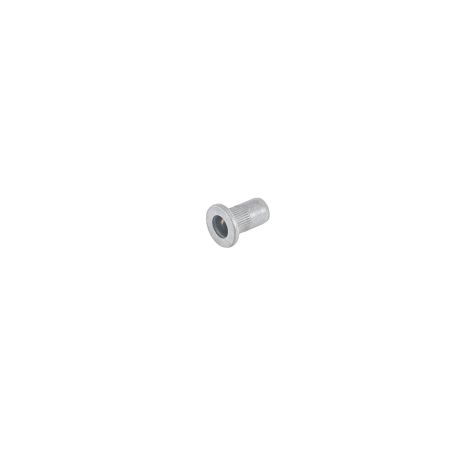 Genuine BMW 07146975569 E71 E72 Blind Rivet Nut, Flat Headed M10 (Inc. X6 50iX, 740d & 740dX)