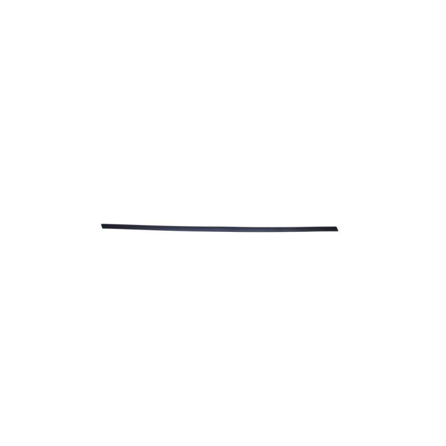 Blic 5703-04-2564571P Door Molding for Ford Fiesta