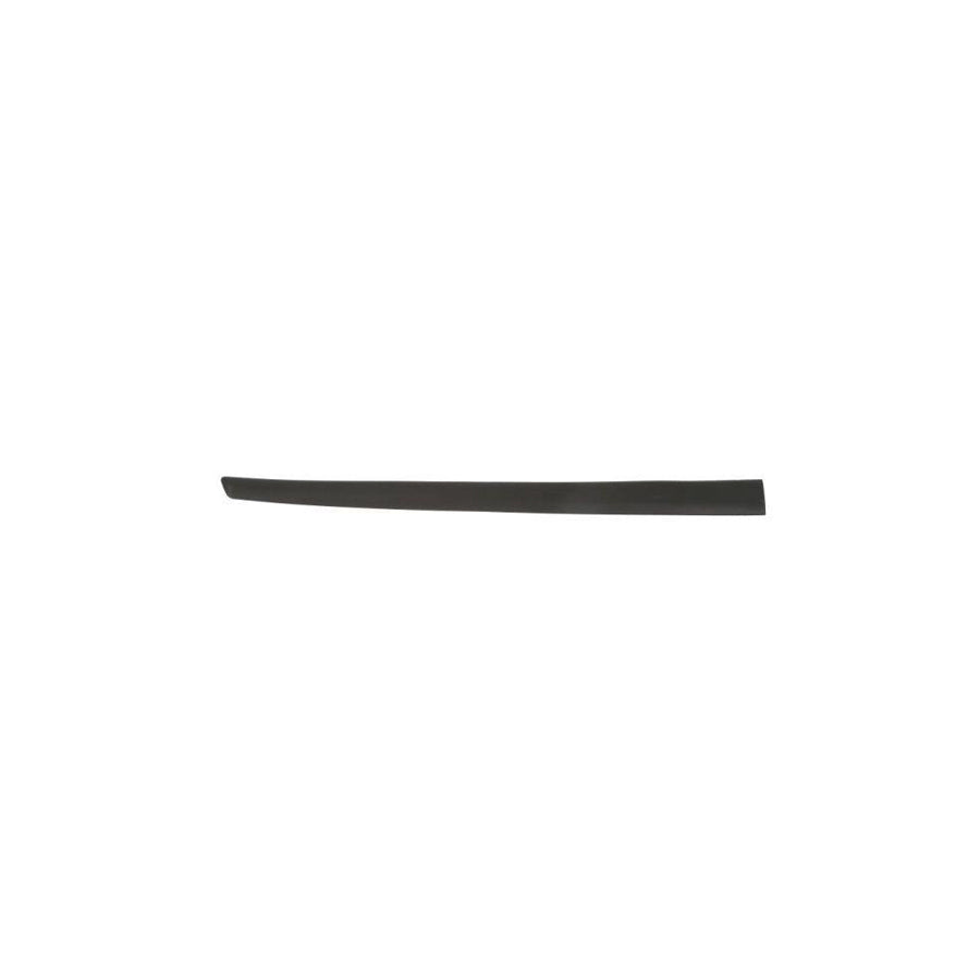 Blic 5703-04-2564571Cp Door Molding for Ford Fiesta