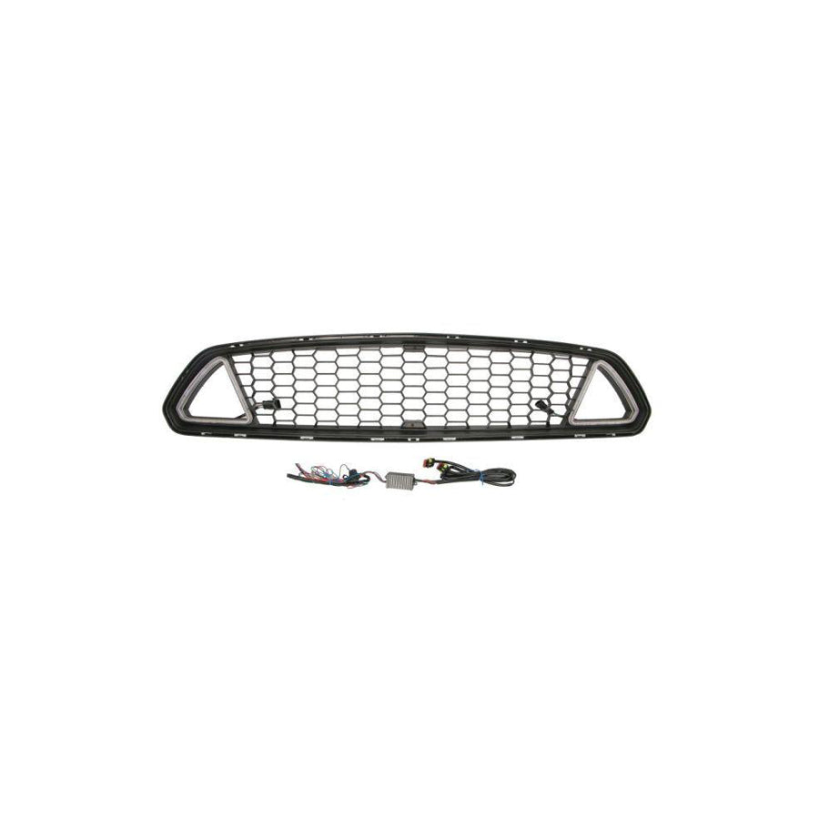 Blic 6502-07-2586990Kp Radiator Grille