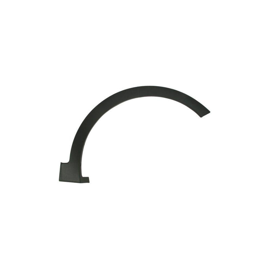 Blic 5703-04-3182472P Trim / Protective Strip, Mudguard for Hyundai Santa Fé III (DM)