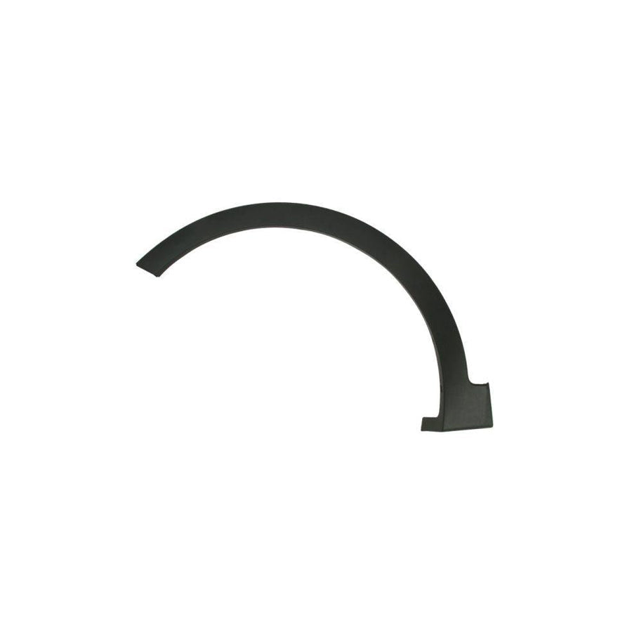 Blic 5703-04-3182471P Trim / Protective Strip, Mudguard for Hyundai Santa Fé III (DM)