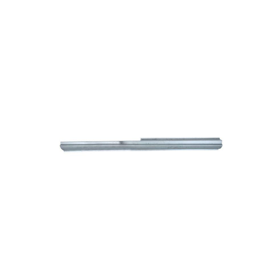 Blic 1020-03-056341P Rocker Panel for Ford USA Windstar (A3)