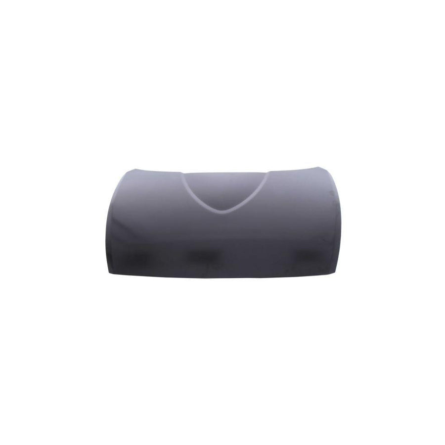 Blic 6803-00-3488280P Bonnet for Mazda Rx-8 (Se, Fe)