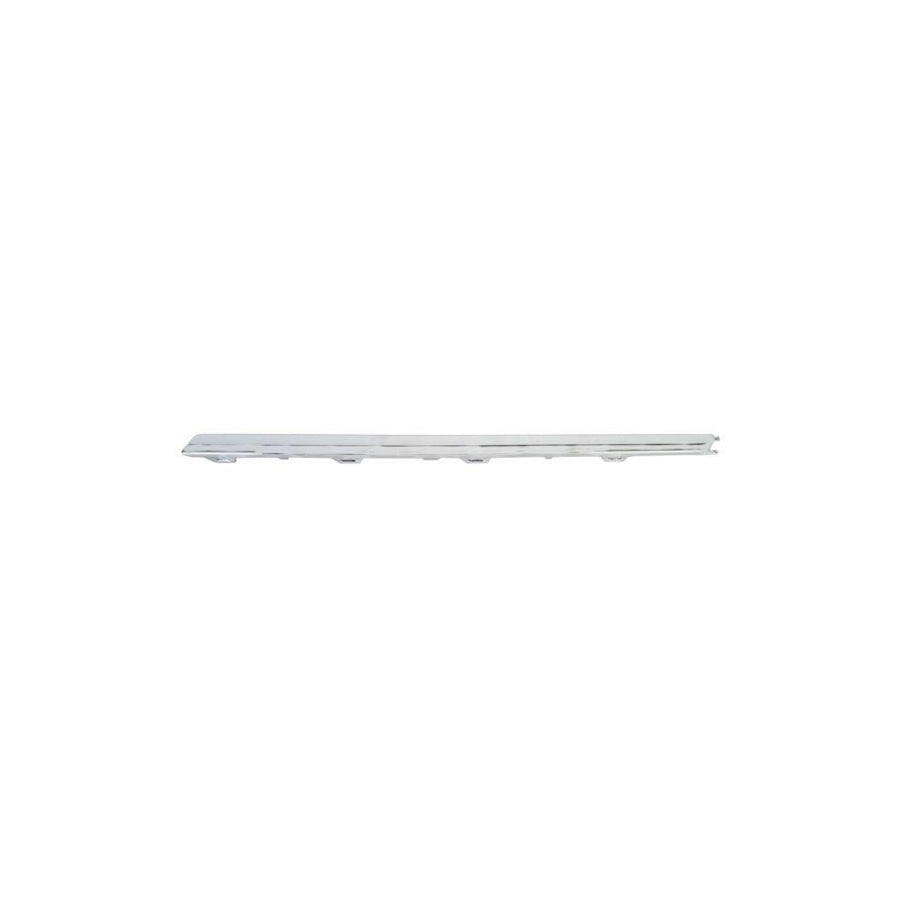 Blic 5703-05-9540972P Bumper Moulding for VW Passat