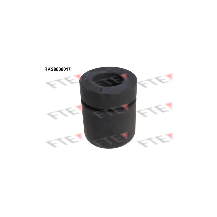 FTE Rks8636017 Piston, Brake Caliper for Opel Astra