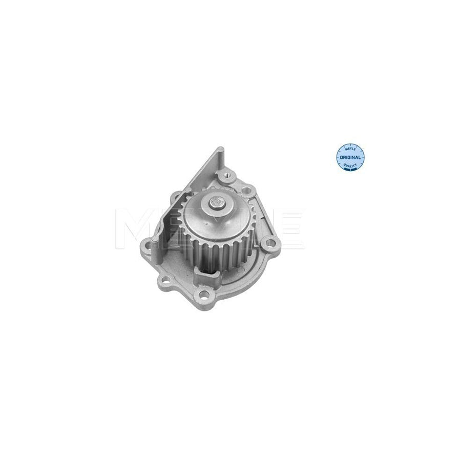Meyle 45-13 220 0002 Water Pump