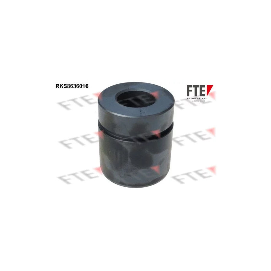 FTE Rks8636016 Piston, Brake Caliper