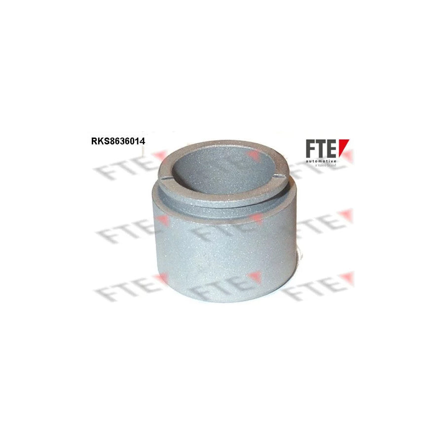 FTE Rks8636014 Piston, Brake Caliper