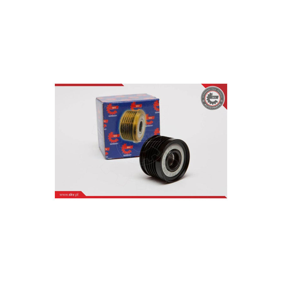 Esen Skv 11SKV037 Alternator Freewheel Clutch
