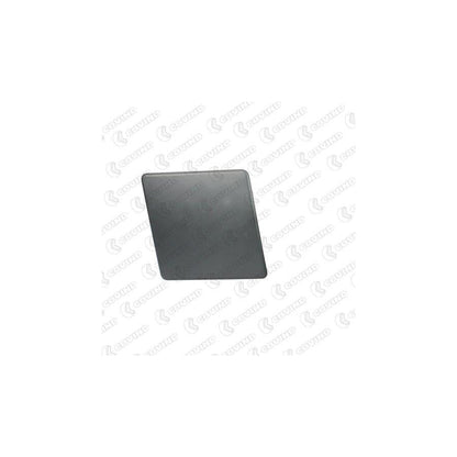 Covind Prm/ 81 Front Cowling