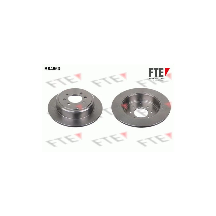 FTE Bs4663 Brake Disc for Peugeot 406