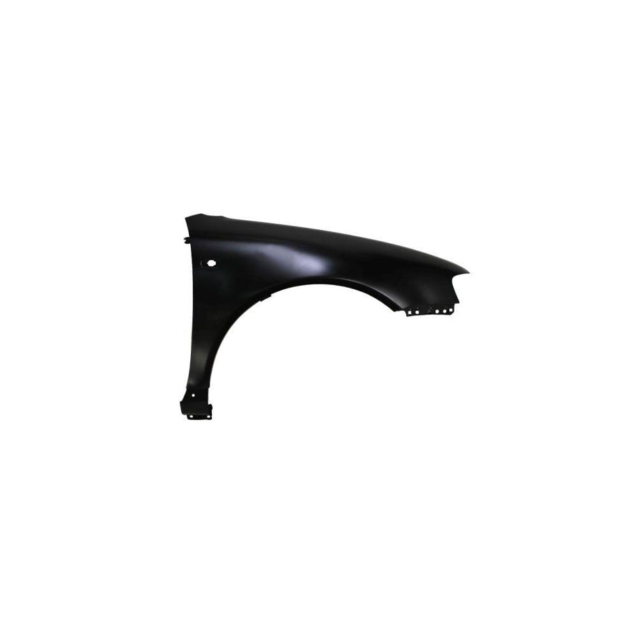 Blic 6504-04-0015314P Wing Fender for Audi A3 Hatchback (8L1)