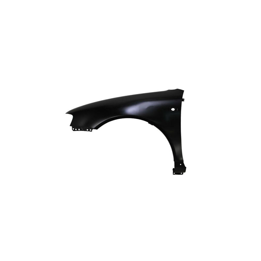 Blic 6504-04-0015313P Wing Fender for Audi A3 Hatchback (8L1)