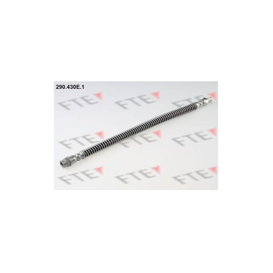 FTE 290.430E.1 Brake Hose