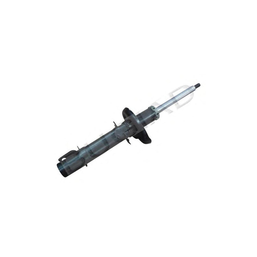 BUGIAD Bsp20861 Shock Absorber