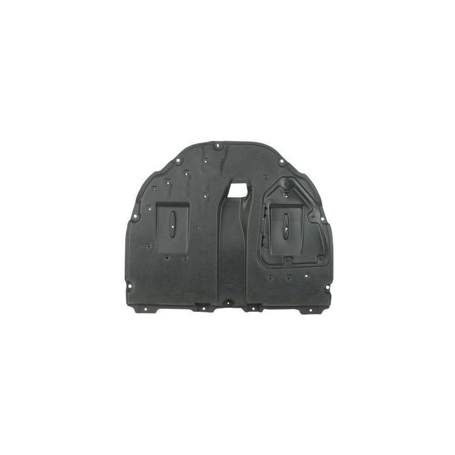 Blic 6601-02-8141875P Engine Cover
