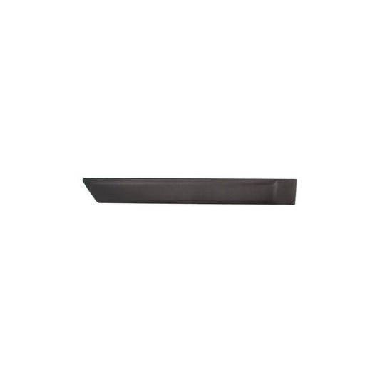 Blic 5703-04-2576574Pp Door Molding for Ford Fusion Estate (Ju2)