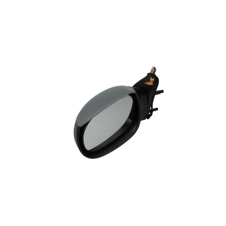 Blic 5402-04-1121339P Wing Mirror for Citroen Xsara Picasso (N68)