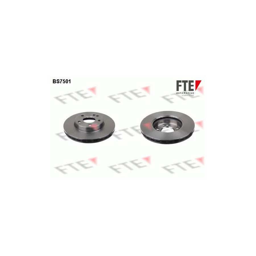 FTE 9072523 Brake Disc