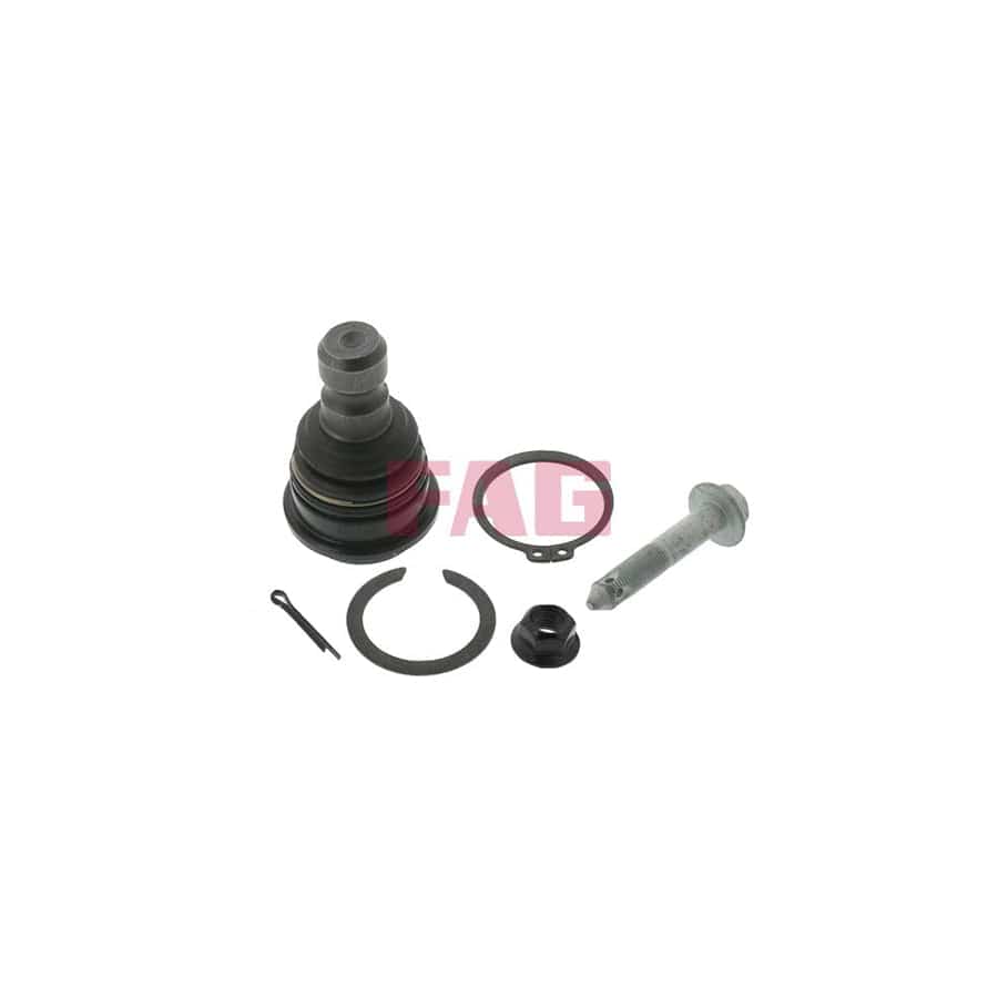 FAG 825 0081 10 Ball Joint