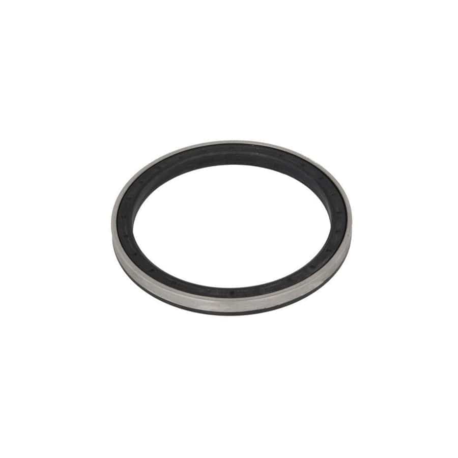 BTA B06-2019 Shaft Seal, Wheel Bearing