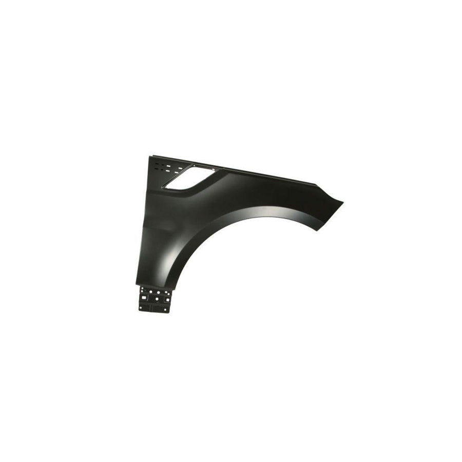 Blic 6508-03-0095878P Splash Panel, Brake Disc for BMW X5 (E53)