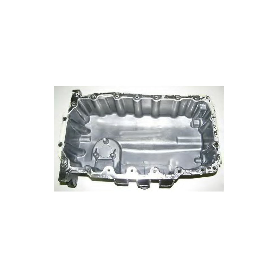 BUGIAD Bsp22539 Oil Sump