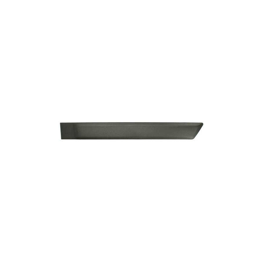 Blic 5703-04-2576573P Door Molding for Ford Fusion Estate (Ju2)